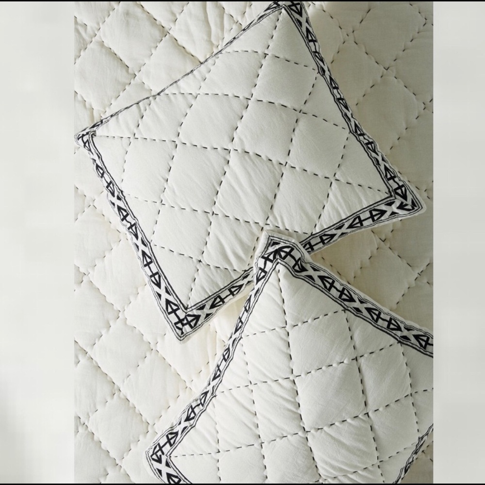 Anthropologie Tasseled Montmartre Black and White Euro Shams